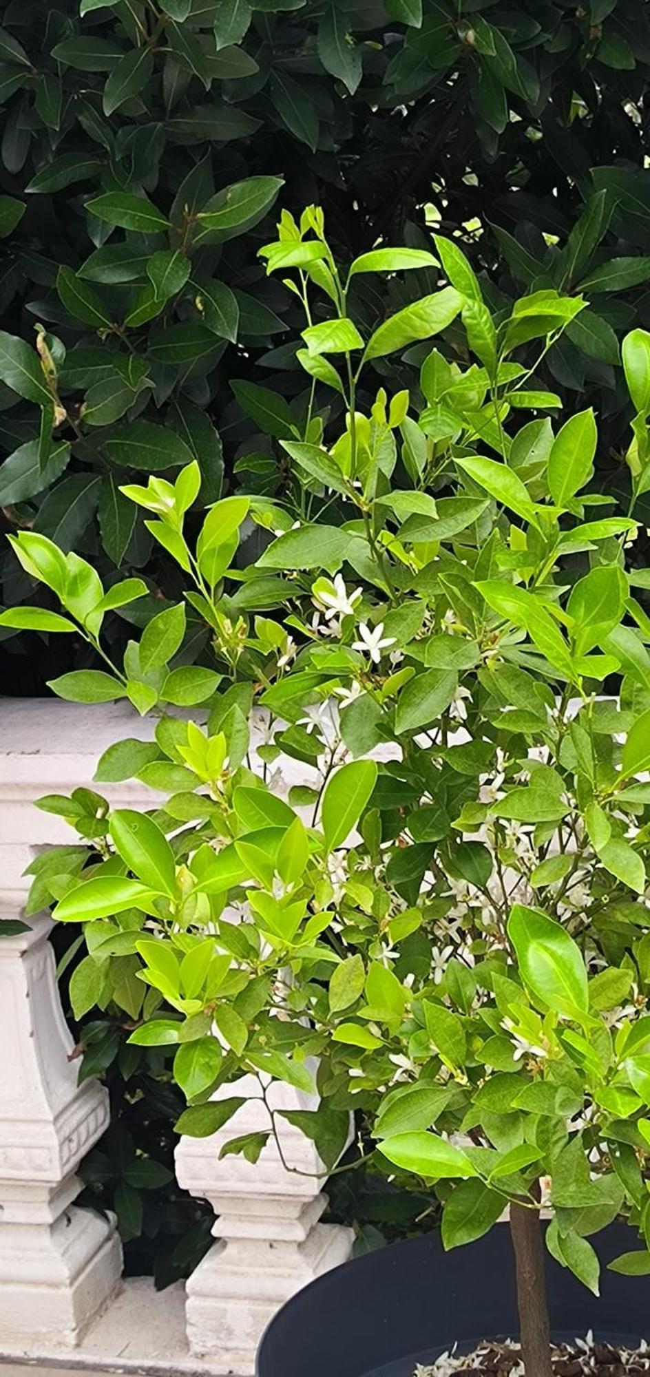 דירות Chaudenay La Fruitiere מראה חיצוני תמונה