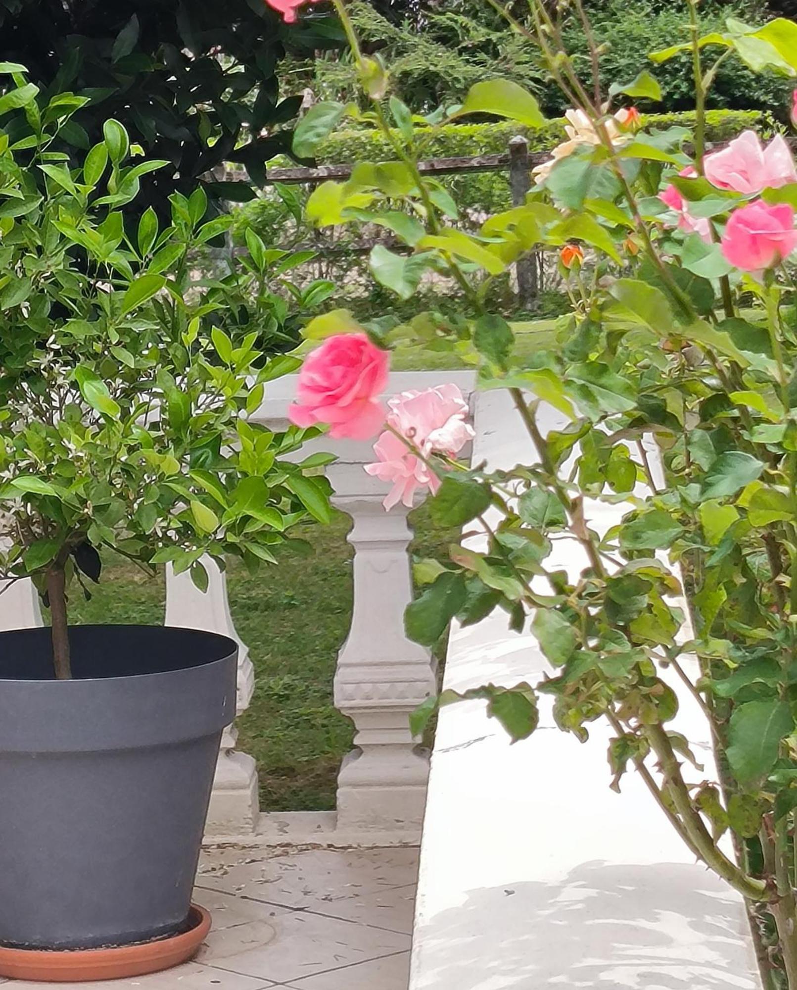 דירות Chaudenay La Fruitiere מראה חיצוני תמונה